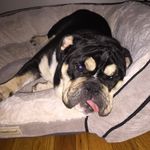 Profile Picture of Benjamin Tallman (@benjamintallman) on Instagram