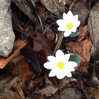 Profile Picture of Myrna Smith (@myrna.smith.524) on Facebook