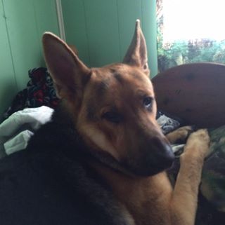 Profile Picture of Hunter Knepp (@hunter.knepp.1) on Facebook