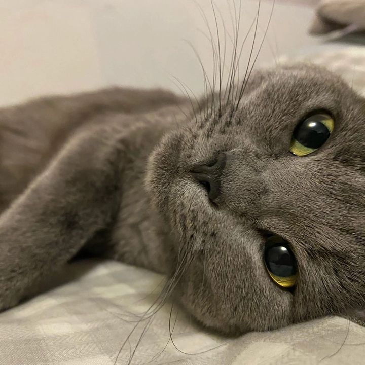 Profile Picture of EmilyHeffi (@emilyheffi) on Tiktok