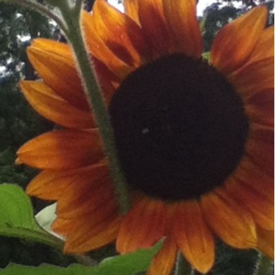 Profile Picture of Delmy (@elia_delmy) on Twitter