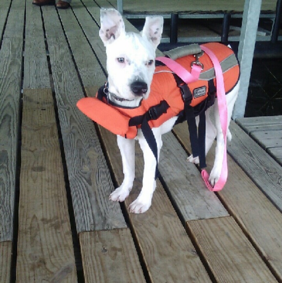 Profile Picture of Brenna James (@mia_max) on Poshmark