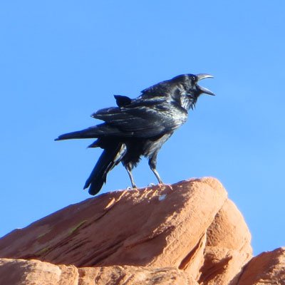 Profile Picture of Lisa Bridges (@LizaB1909) on Twitter