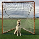 Profile Picture of Jacob Shannon (@coachjacobshannon) on Instagram