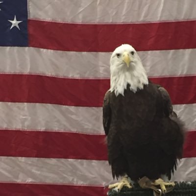 Profile Picture of Matthew Reese (@deanearlin) on Twitter