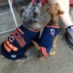 Profile Picture of Kathi Harrison (@ndbeachbum) on Instagram