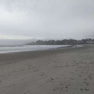 Profile Picture of Sam Gregg  🇺🇲 🧢 (@samgregg77) on Twitter