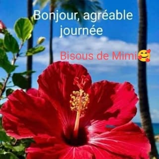 Profile Picture of Daniel Radin (@danielradin) on Instagram