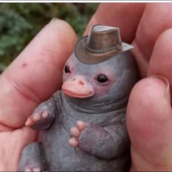 Profile Picture of Daniel Self (@norsemaniac09) on Poshmark