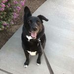 Profile Picture of Franky Avalos (@avalos.franky) on Instagram