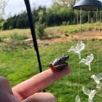 Profile Picture of Crackhead1941 (@james_colborn169) on Instagram