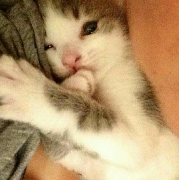 Profile Picture of Chaeli Moir (@chaelimoir) on Poshmark