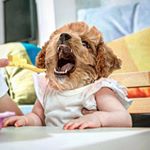 Profile Picture of Eric Erazo (@erazo_studiosinmaking) on Instagram