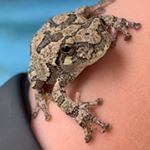 Profile Picture of Trevor Daane (@trevordaane) on Instagram