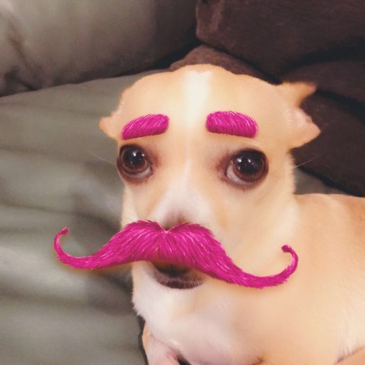 Profile Picture of Tina Bailey (@tinytbay) on Tiktok