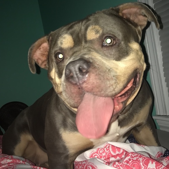 Profile Picture of Dorothy Bastis (@dbastis410) on Poshmark