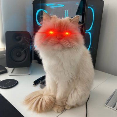 Profile Picture of Wayne Wong (@waynewong1010) on Twitter