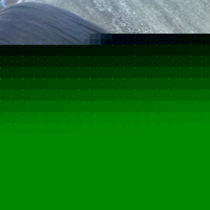 Maria Eulalia Espinoza - Myspace Profile Picture of Maria Eulalia Espinoza (@114974358) on Myspace