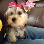 Profile Picture of Pauline Watts (@pauline__1234) on Instagram