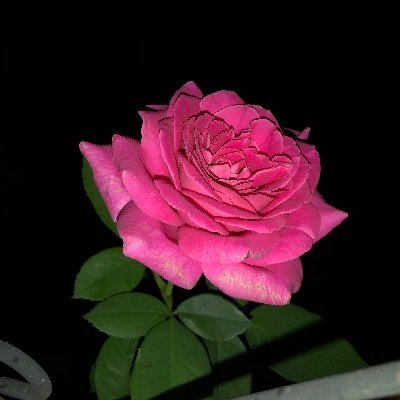 Profile Picture of Hilda Smith (@HildaSm04119777) on Twitter