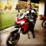 Profile Picture of fernando catalá (@fernando.catala) on Instagram