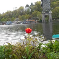 Profile Picture of Cecilia Uchimoto (@cecilia-uchimoto) on Quora