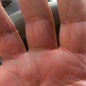 Profile Picture of Barry Reiswig (@reiswigb) on Myspace