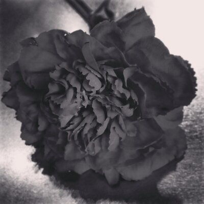 Profile Picture of Emily Badger (@perform1813) on Twitter