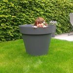 Profile Picture of Andrea Engelman (@andreajengelman) on Instagram