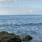 Profile Picture of Monique Clemente  (@moniqueclemente9007) on Youtube