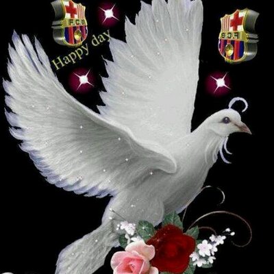 Profile Picture of Rigoberto Escobar (@rescobar649) on Twitter