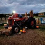 Taylor Cartwright - Facebook Profile Picture of Taylor Cartwright (@taylor.cartwright.545) on Facebook