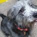 Profile Picture of Michael Hostetler (@michael.hostetler.5872) on Facebook