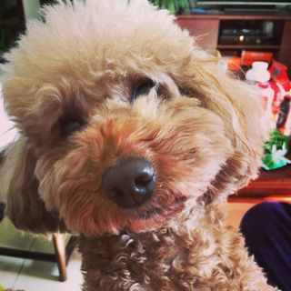 Profile Picture of Nancy Shen (@nancysnx) on Instagram