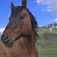 Profile Picture of Bryn Mckay (@bryn-mckay-1) on Quora