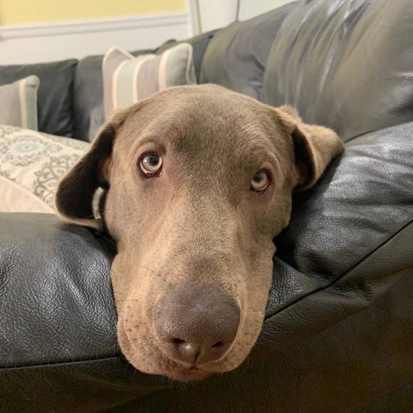 Profile Picture of Russell Parmely (@russellparmely) on Poshmark