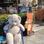 Profile Picture of Michael Tafel (@Michael-Tafel) on Facebook