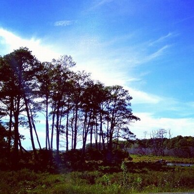 Profile Picture of Tim Wilburn (@TimWilburn598) on Twitter