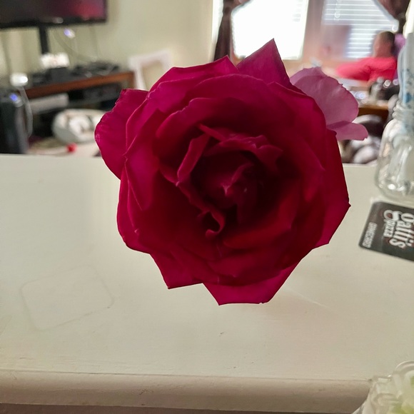 Sherie Harling - Poshmark Profile Picture of Sherie Harling (@sherieharling) on Poshmark