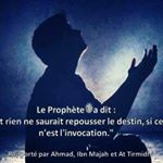 Profile Picture of Zeinab Mohamed (@zeinabmohamed370) on Instagram