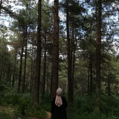 Profile Picture of Rabia Menteşe (@MenteseRabia) on Twitter
