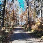 Profile Picture of Ida Werthmann (@w_ida.a) on Instagram