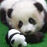 Profile Picture of Abraham Monroy (@abexolotlmonroy) on Pinterest