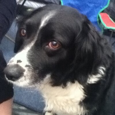 Profile Picture of Elbuscus-paul Rudden (@ElbuscusR) on Twitter