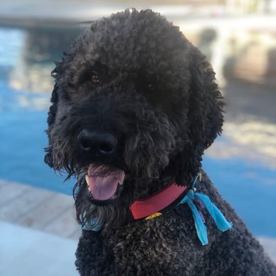 Profile Picture of VICKI HYLAND (@VICKIHYLAND3) on Twitter