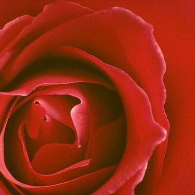 Profile Picture of Chrissy Rodriguez (@CrazedBorgiaFan) on Twitter