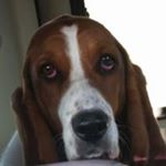 Profile Picture of Chris Wendt (@chris.wendt.376) on Instagram