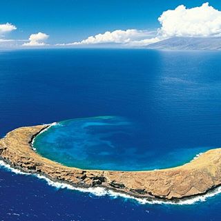 Profile Picture of Michael Bordonaro (@Michael-Bordonaro) on Facebook