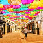 Felix Jung - Instagram Profile Picture of Felix Jung (@felixjung449) on Instagram