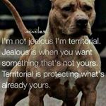 Profile Picture of Noel Keane (@noel_keane) on Instagram